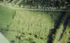 D35_-_Aerial_view_of_allotments_picture.JPG (100357 bytes)