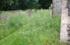 08 Doddington Church Graves to the West.jpg (103222 bytes)