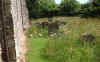 12 Eastling Church Graves to the South.jpg (150149 bytes)